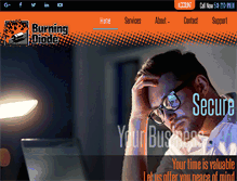 Tablet Screenshot of burningdiode.com